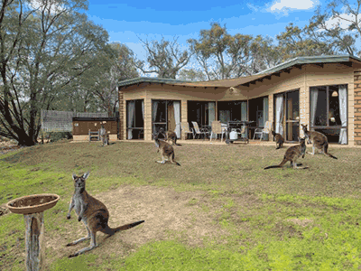 YELVERTON BROOK ECO SPA CHALETS