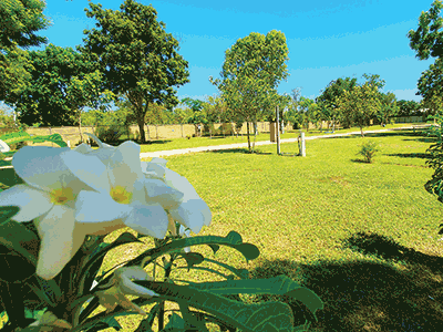 TARANGAU CARAVAN PARK