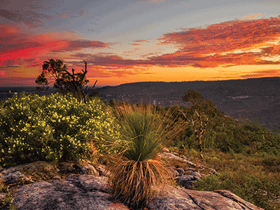 EXPERIENCE PERTH HILLS